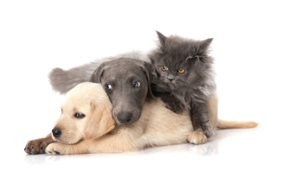 I Stock 000019096920 X Small