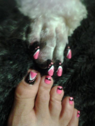 482705 547721501925009 709609924 N