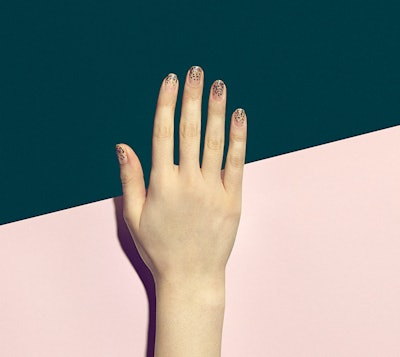 Paintbox Weekend Update