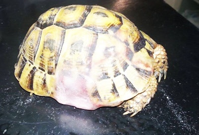 10578800 10152797960858544 976005999 O