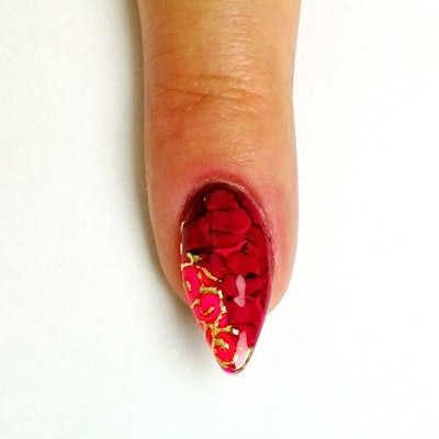 Ilona Musik Nails 6