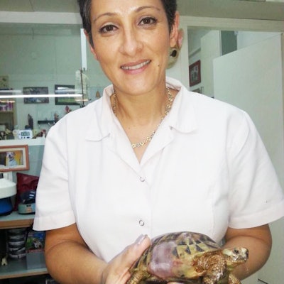 10804464 10152797959278544 1287447700 O