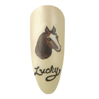 LOS ANGELES, CA – MARCH 11: Actor Dove Cameron at Nickelodeon’s 2017 Kids’ Choice Awards at USC Galen Center on March 11, 2017 in Los Angeles, California. (Photo by Jon Kopaloff/FilmMagic)