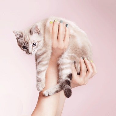 Polish Story Holding Kitty Np512