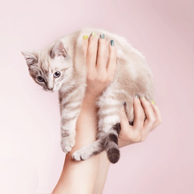 Polish Story Holding Kitty Np512