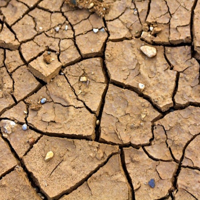 Foot Crack Fissure Treatment