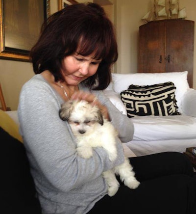 10404306 10153295179428448 6810653534945937779 N