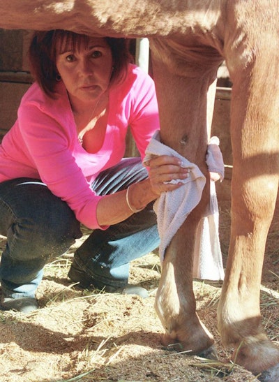 10530927 10153024323213448 6322238722087143382 N