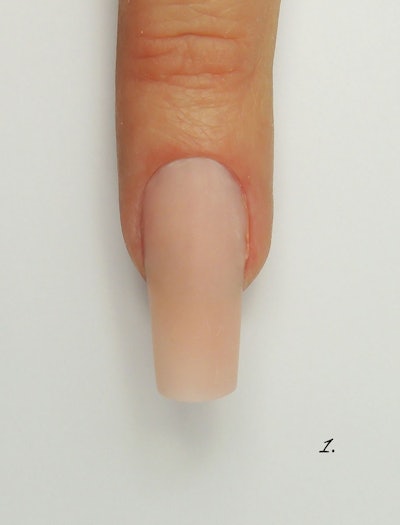 Rose1