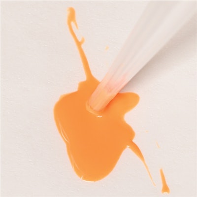 All About The Bass Image2