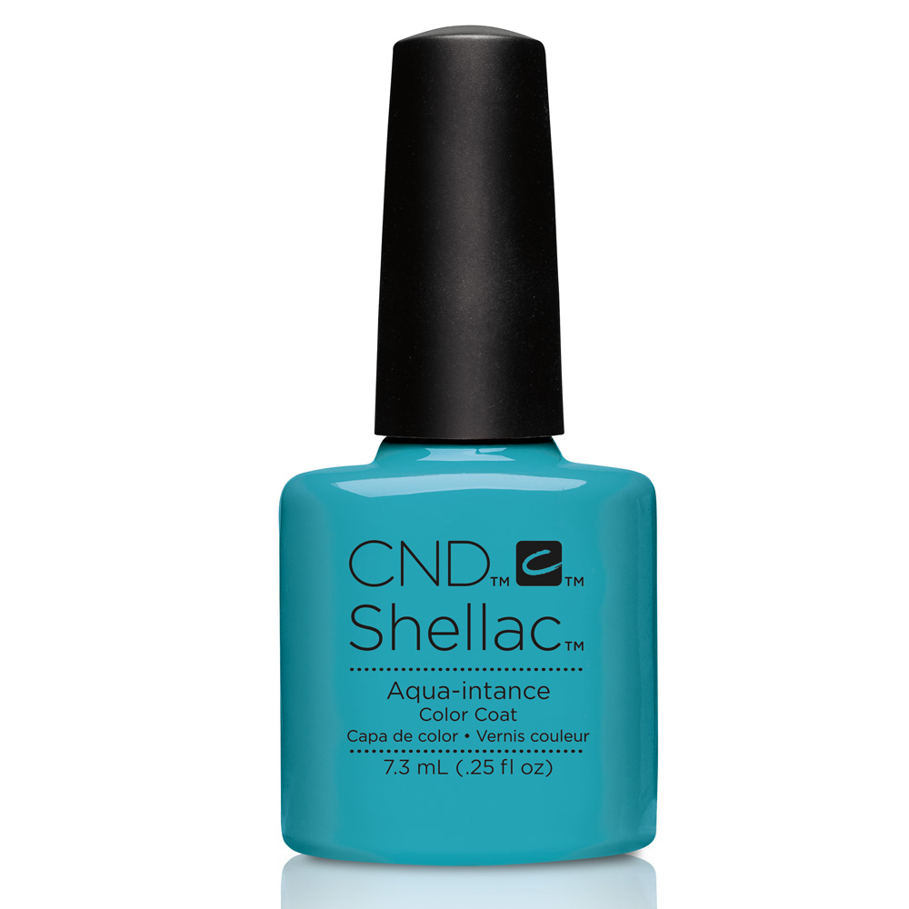 SHELLAC-Band-in-Aqua-intance