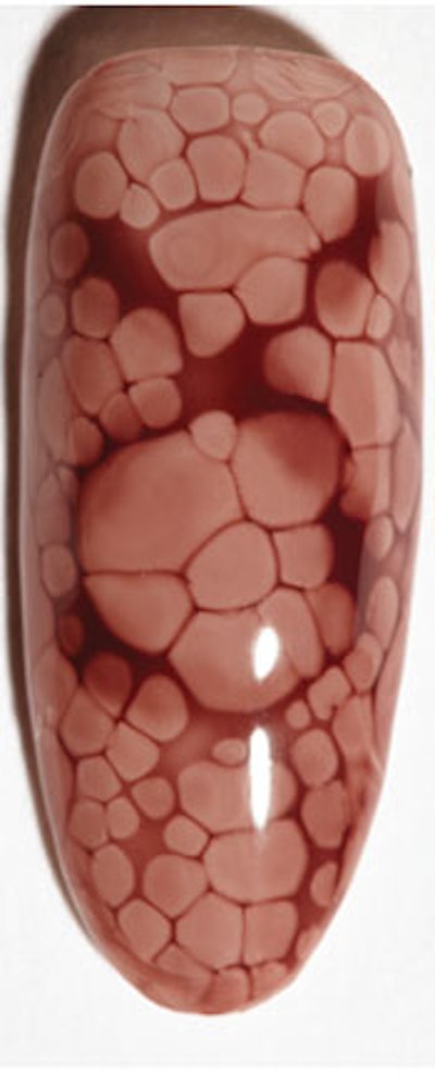 NP-Snake-Skin-#3-Step-4