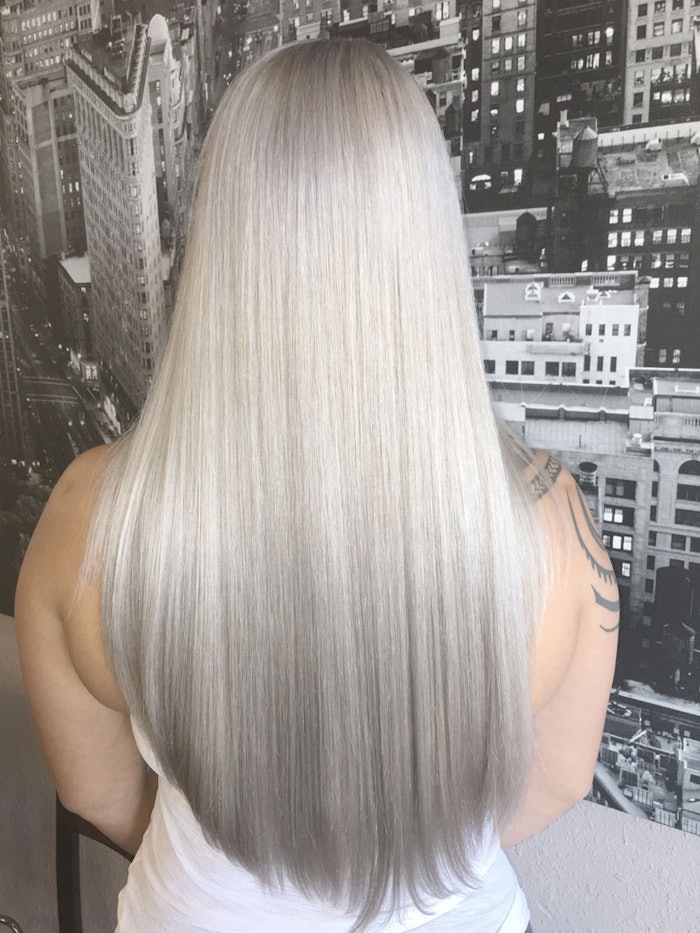 Silverfoxmain
