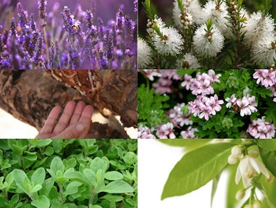 Essential oils