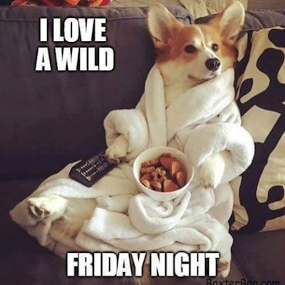 Image: instagram.com/salon_business