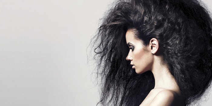 WildEthnicHair850x425