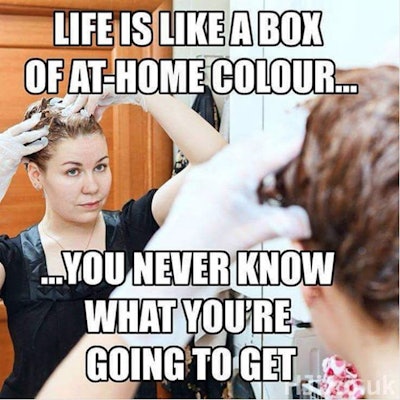 Image: Instagram.com/_theclimbingkatnip