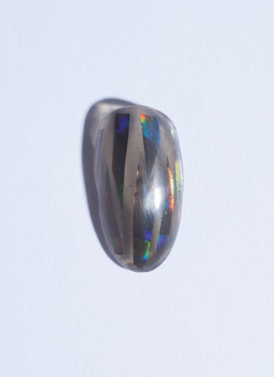 SNAKE SKIN_2017_0201_NP_0885