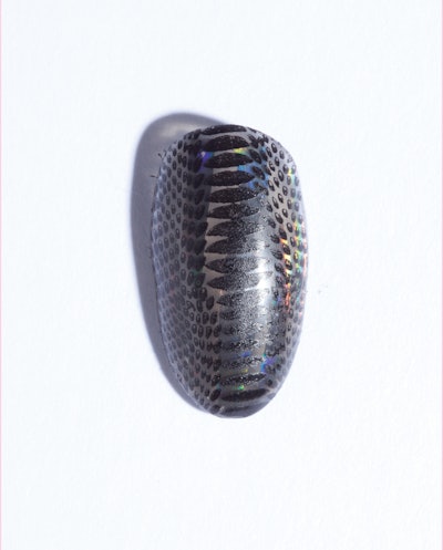 SNAKE SKIN_2017_0201_NP_0888