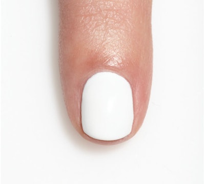 morgan taylor designer plates