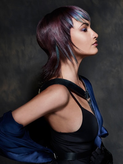 Creativecolorist Laine Aronesty Hairbyscottco