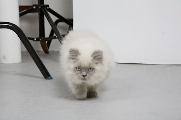 Lp 0810 Headlines 7843