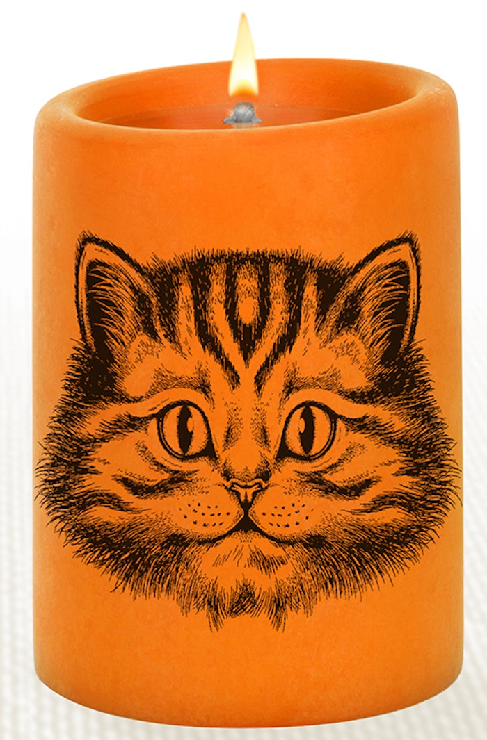 Cat Cropped