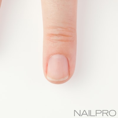 bio sculpture gel french kit