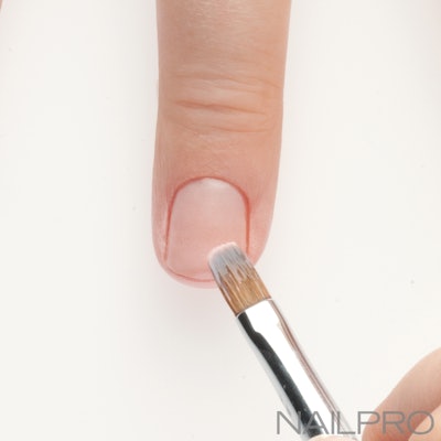 bio sculpture gel french kit