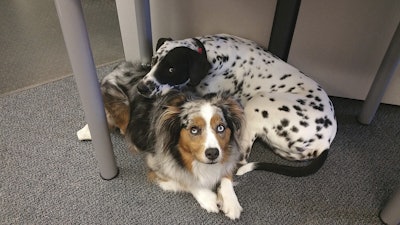 Kwyn and Diesel