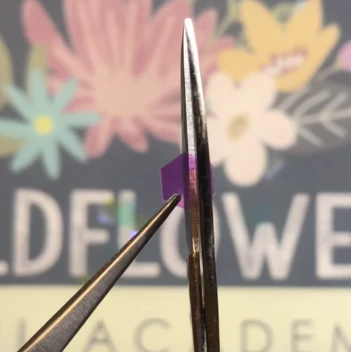 wildflowers nails