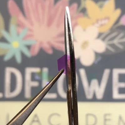 wildflowers nails