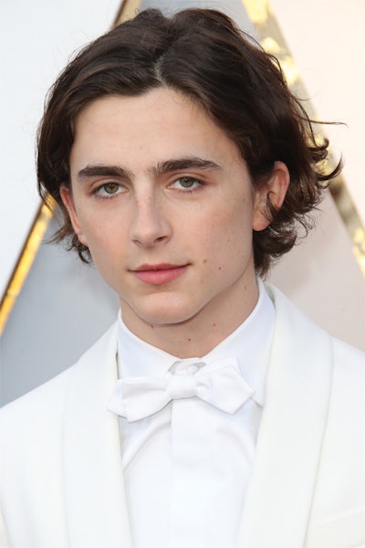 Timothee Chalamet Hair