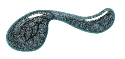 DARETOWEAR_JUPITER_033