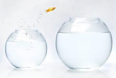 Beauty Industry Advice