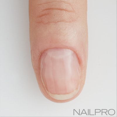 Pro Talk-Orly bodyguard