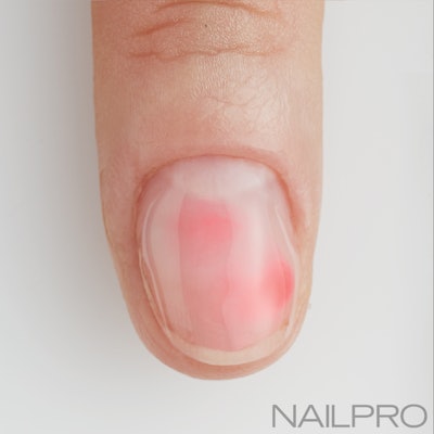 Pro Talk-Orly bodyguard