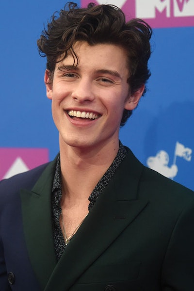 Shawn Mendes Hair