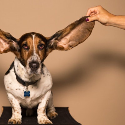 kyle-smith-unsplash-photography