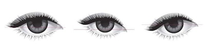 Eye Shape Lashes