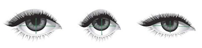 Eye Shape