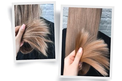 Trissola Forever Ends Product