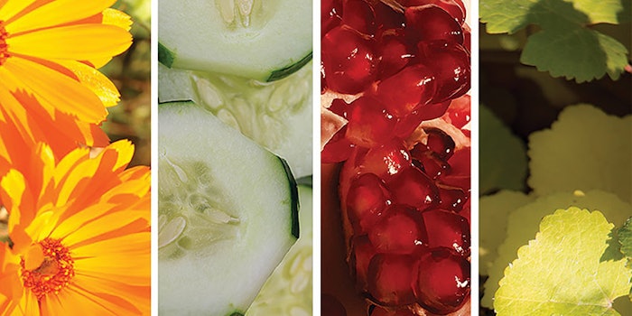 Alban_Muller_Softami_850x425