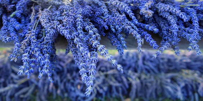 Takasago has announced the promotion of Michael Lankin, Ph.D., to vice president of aroma ingredients.