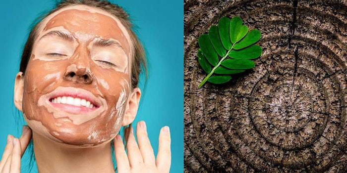The February Midwest SCC webinar discussed the increasing trend of upcycling in personal care. With this in mind, presenters from Renmatix revealed its Acer Rubrum Extract, an upcycled emulsifier for skin care and more.