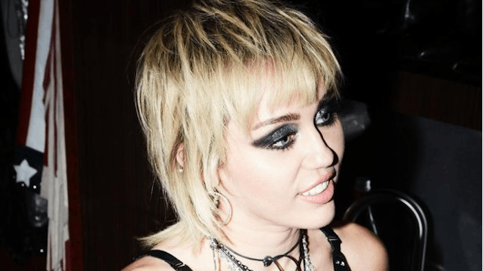 The mullet was the most searched hair trend over the past 12 months. @mileycyrus / via Instagram