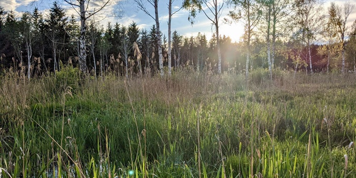 Premium Organic's Alpin Heilmoor Extract (AHE) won second with the European BSB Innovation Award 2021 and has additionally presented its innovative sustainable extraction concept, Gentle Renaturation.