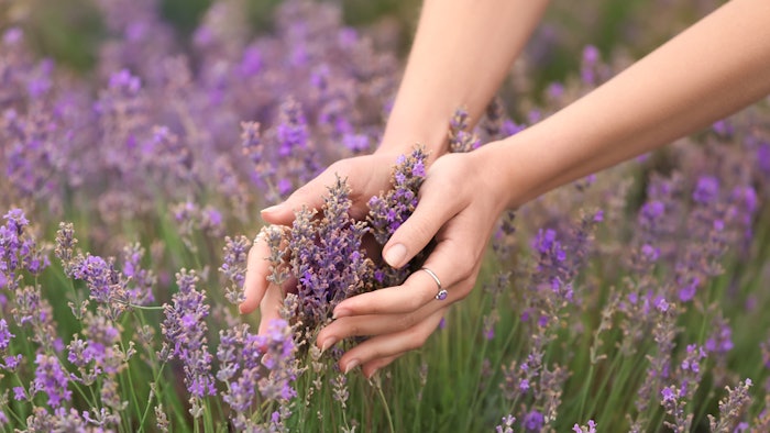 Dreamstime S 151147657