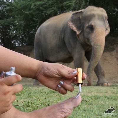 Paint Your Toes Grey And Share On Social Media