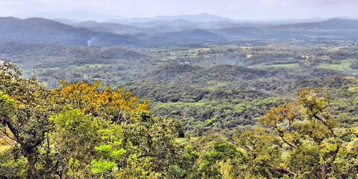 This partnership will bring sustainable active ingredients derived from Brazil.